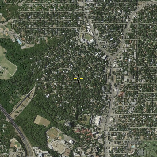 Aerial/Satellite Image of Witte Museum, TX