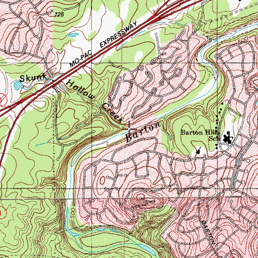 Topographic Map of Skunk Hollow Creek, TX