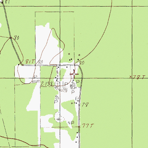 Topographic Map of Dowdel Settlement, TX