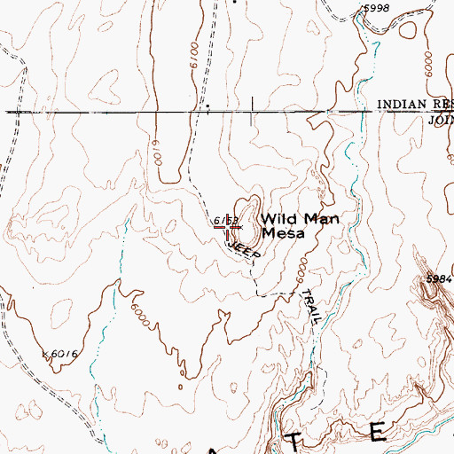 Topographic Map of Wild Man Mesa, AZ
