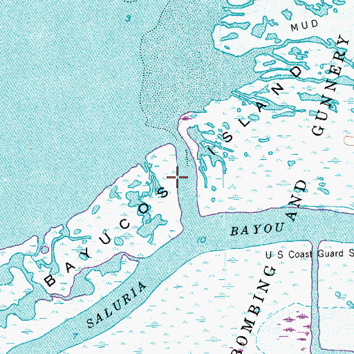 Topographic Map of Mitchells Cut, TX