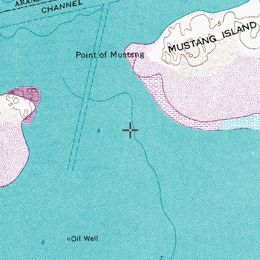 Topographic Map of Sting Ray Hole, TX