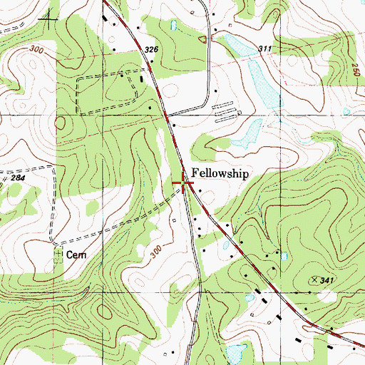 Topographic Map of Fellowship, TX