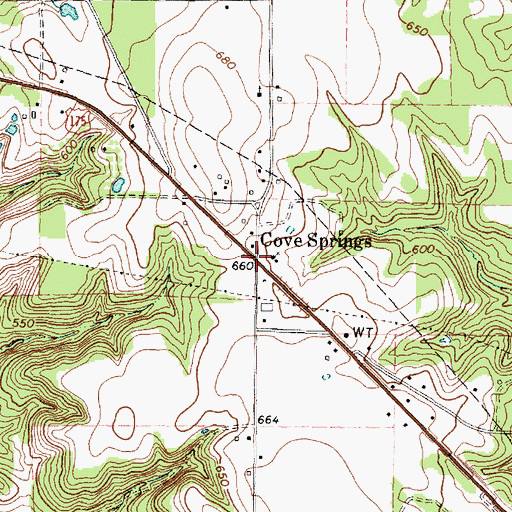Topographic Map of Cove Springs, TX