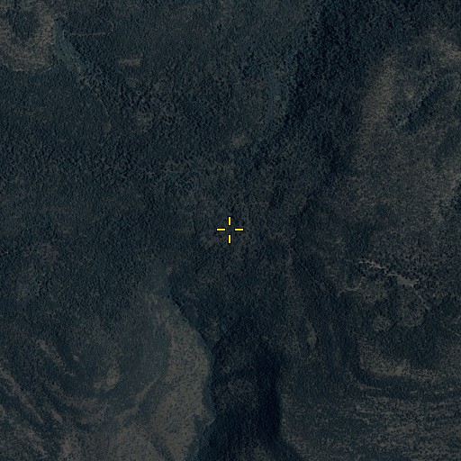 Aerial/Satellite Image of Wild Monkey Trap, AZ