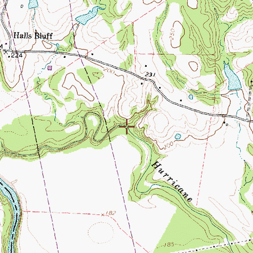 Topographic Map of Moore Branch, TX