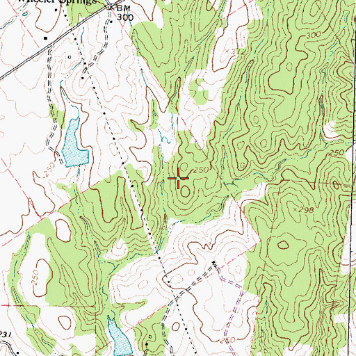 Topographic Map of Caroline Williams Farm, TX