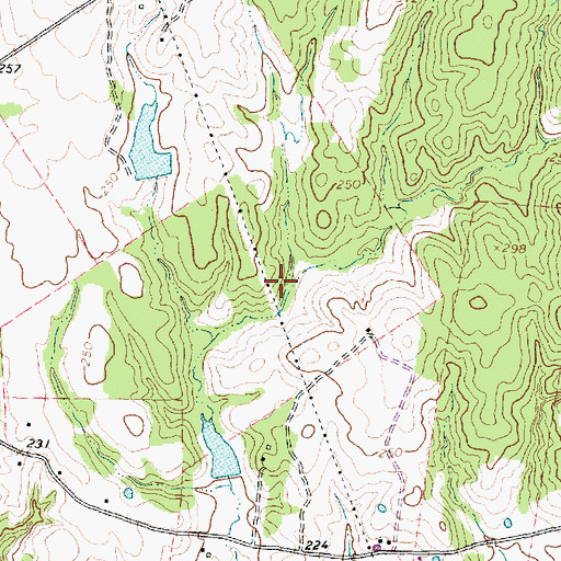 Topographic Map of Salt Branch, TX