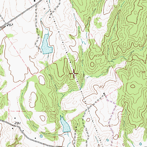 Topographic Map of Salt Branch School (historical), TX