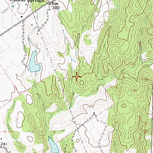 Topographic Map of Dutch Hill, TX