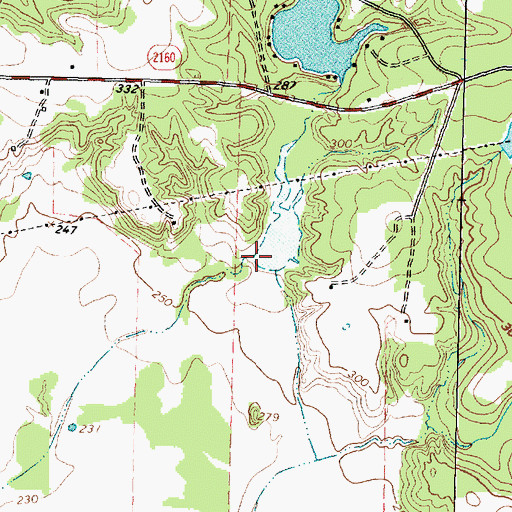 Topographic Map of Spring Creek, TX