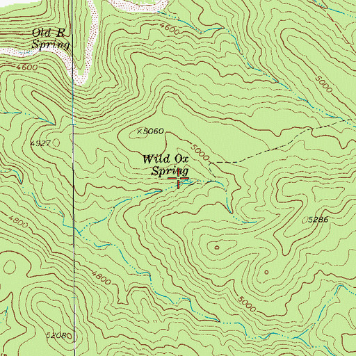 Topographic Map of Wild Ox Spring, AZ