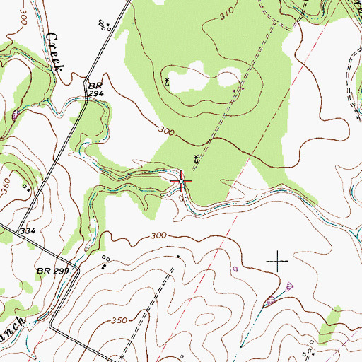 Topographic Map of Boggy Branch, TX