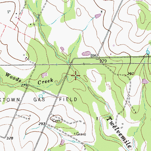 Topographic Map of Cottonwood Creek, TX
