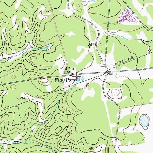 Topographic Map of Flag Pond, TX