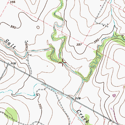Topographic Map of Little Salt Creek, TX