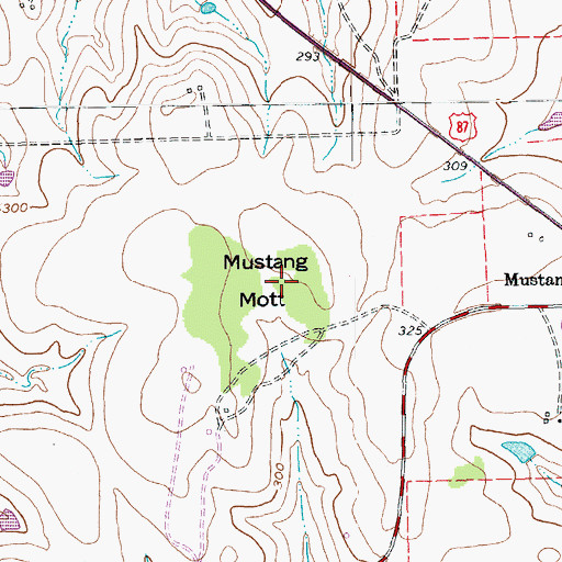 Topographic Map of Mustang Mott, TX