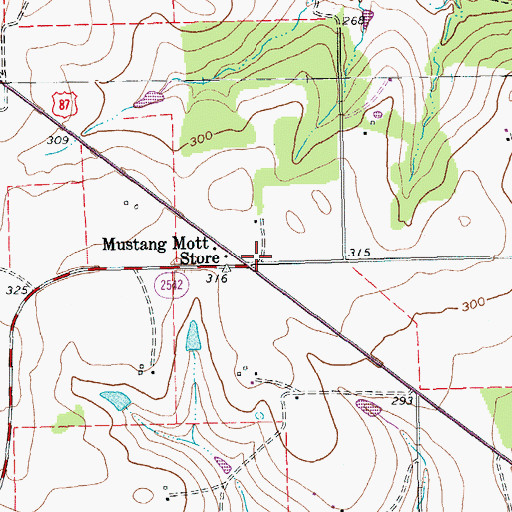 Topographic Map of Mustang Mott Store, TX
