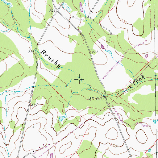 Topographic Map of Petty Hollow, TX