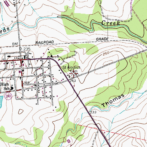 Topographic Map of Saint Aloysius Cemetery, TX