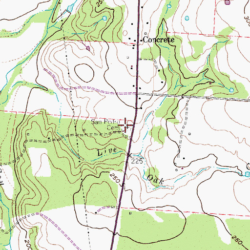 Topographic Map of San Pedro Cemetery, TX