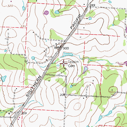 Topographic Map of Teppim Cemetery, TX