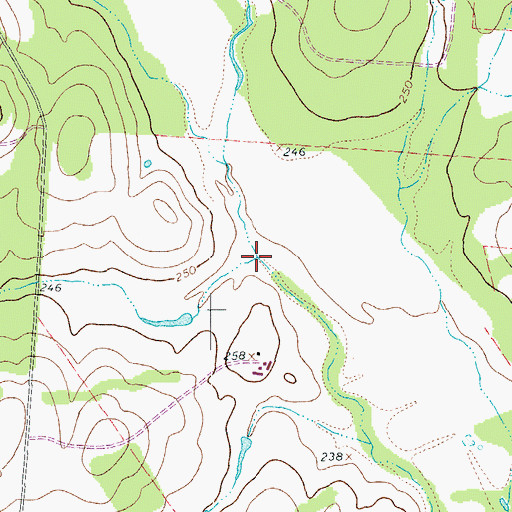 Topographic Map of Willow Prong, TX