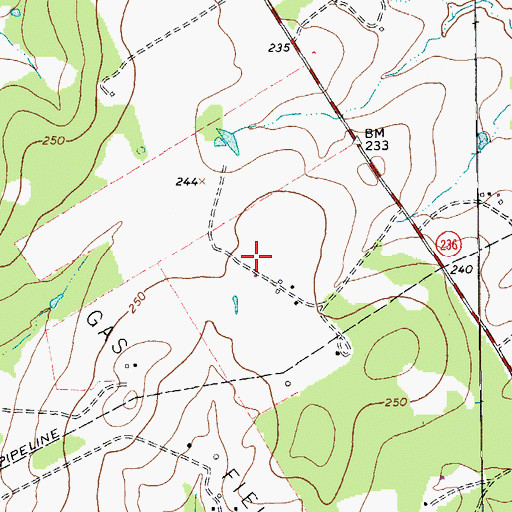 Topographic Map of Arneckeville Gas Field, TX