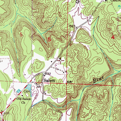 Topographic Map of Salem Church, AL