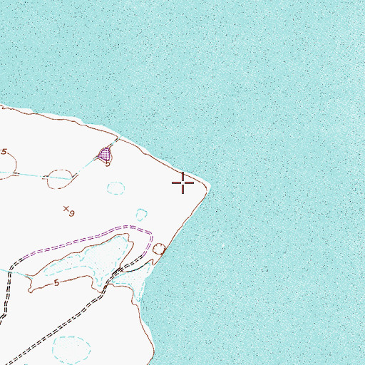 Topographic Map of Neubauer Point, TX