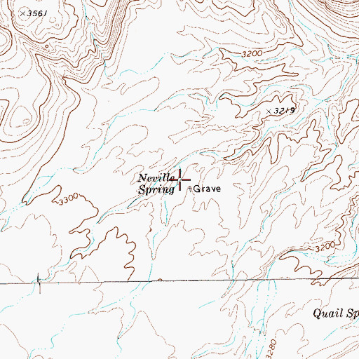Topographic Map of Neville Spring, TX