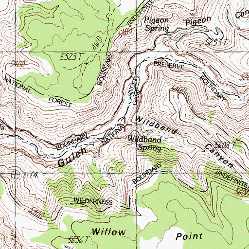 Topographic Map of Wildband Canyon, AZ