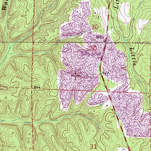 Topographic Map of Union Grove Mine, AL