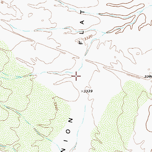 Topographic Map of Onion Flat, TX