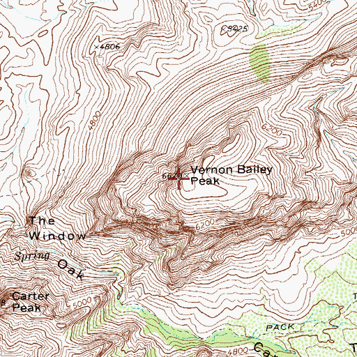 Topographic Map of Vernon Bailey Peak, TX