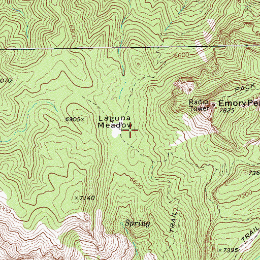 Topographic Map of Laguna Meadow, TX