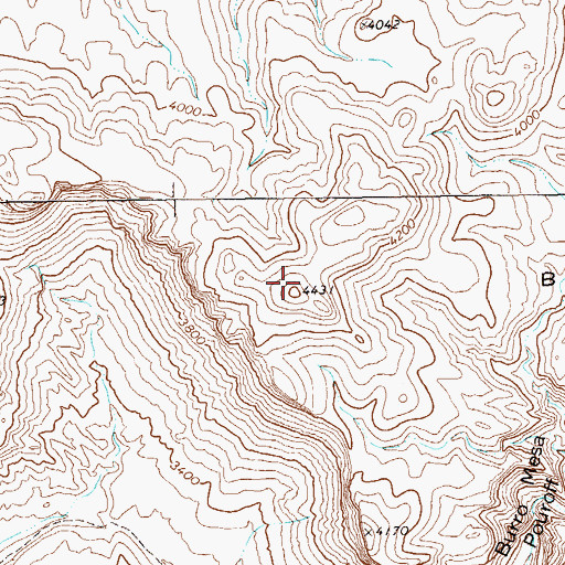 Topographic Map of Burro Mesa, TX