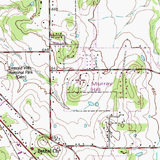 Topographic Map of Murray Hill, TX