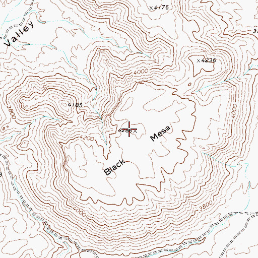 Topographic Map of Black Mesa, TX