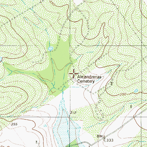 Topographic Map of Alejandrenas, TX