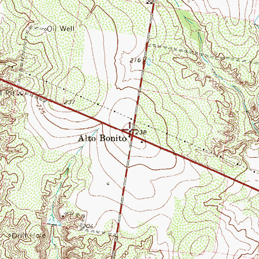 Topographic Map of Alto Bonito, TX