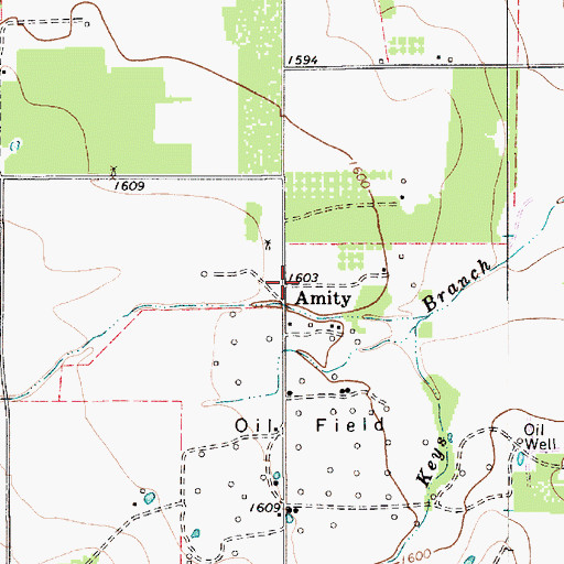 Topographic Map of Amity, TX