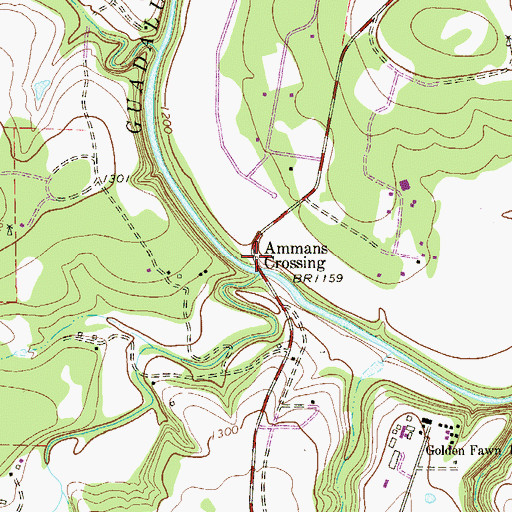 Topographic Map of Ammans Crossing, TX