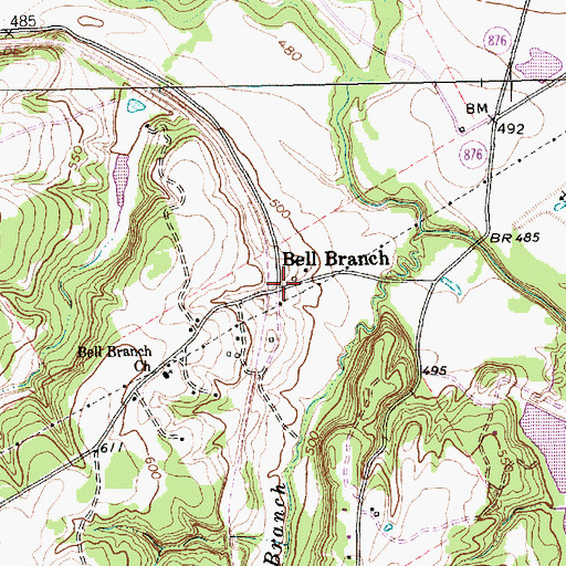 Topographic Map of Bell Branch, TX