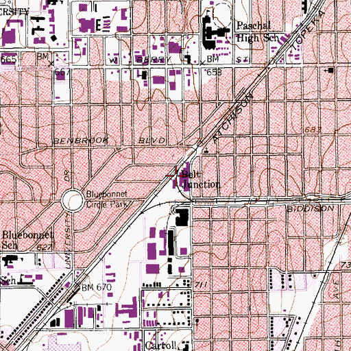 Topographic Map of Belt Junction, TX