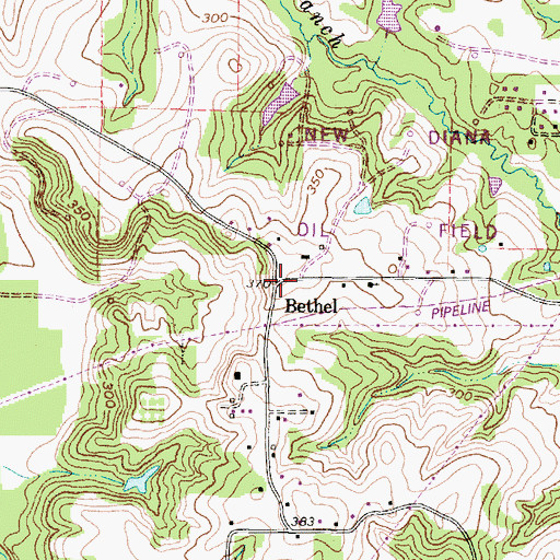 Topographic Map of Bethel, TX