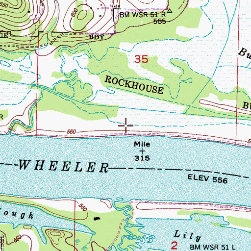 Topographic Map of Brakes Branch, AL