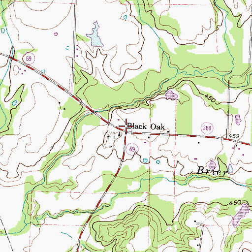 Topographic Map of Black Oak, TX