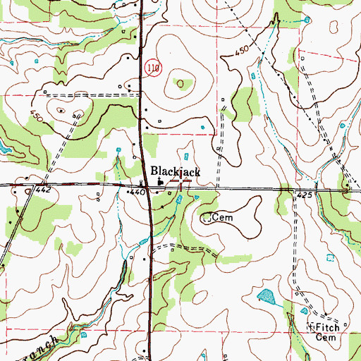 Topographic Map of Blackjack, TX