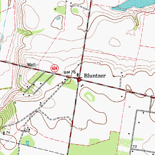 Topographic Map of Bluntzer, TX